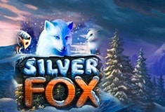 Silver Fox