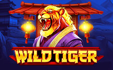 Wild Tiger