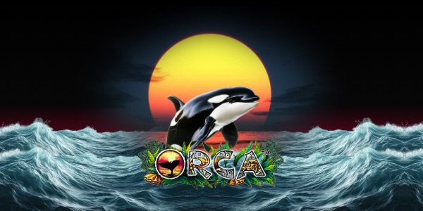Orca