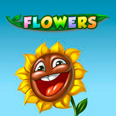 Flowers touch