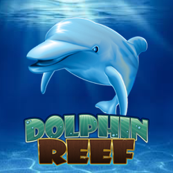 Dolphin Reef