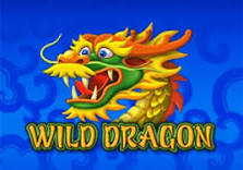 Wild Dragon