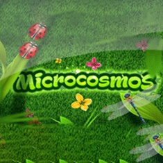 Microcosmos